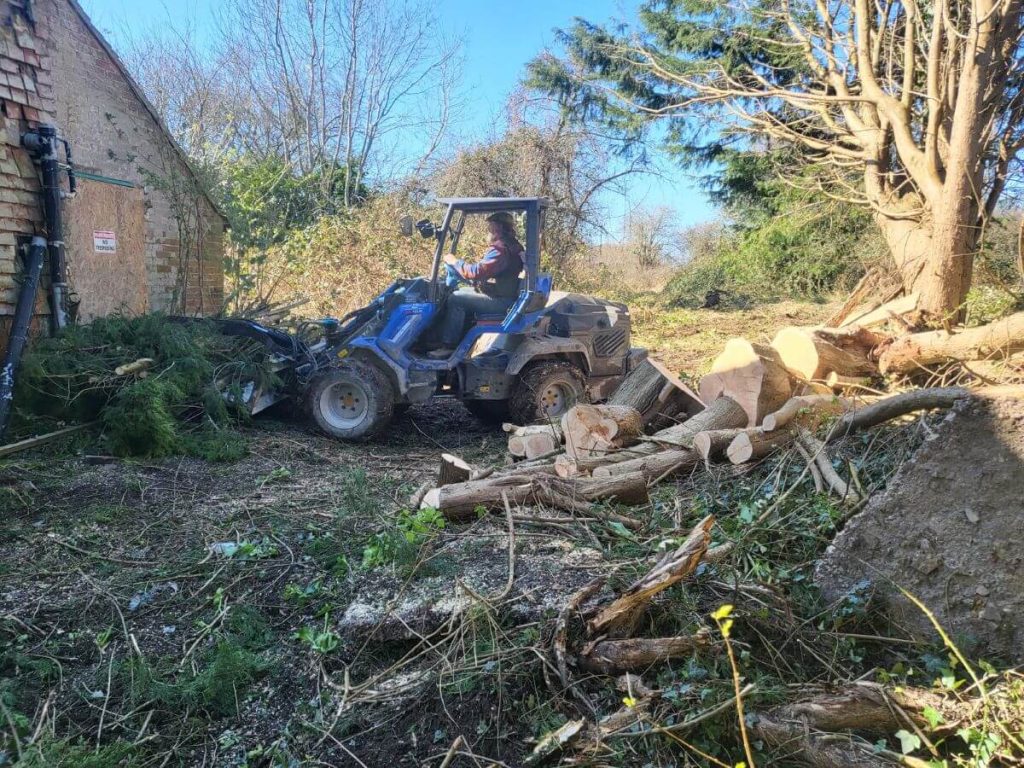 removal after storm damage