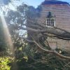 tree fallen in storm damage