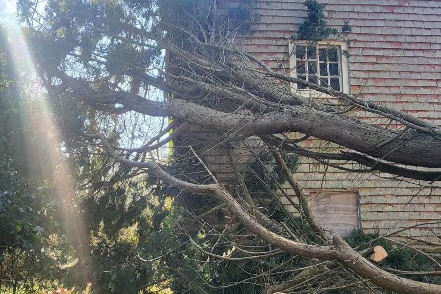 tree fallen in storm damage